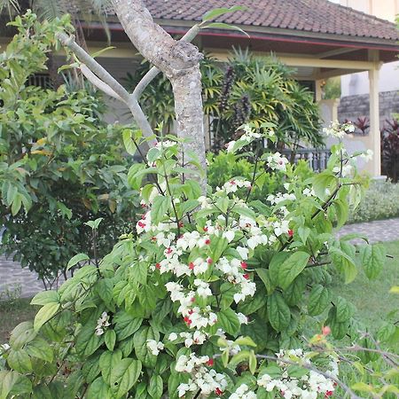 Taman Lily'S Hotel Lovina Exterior foto