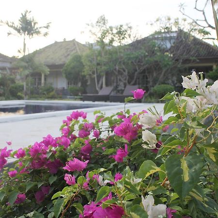 Taman Lily'S Hotel Lovina Exterior foto