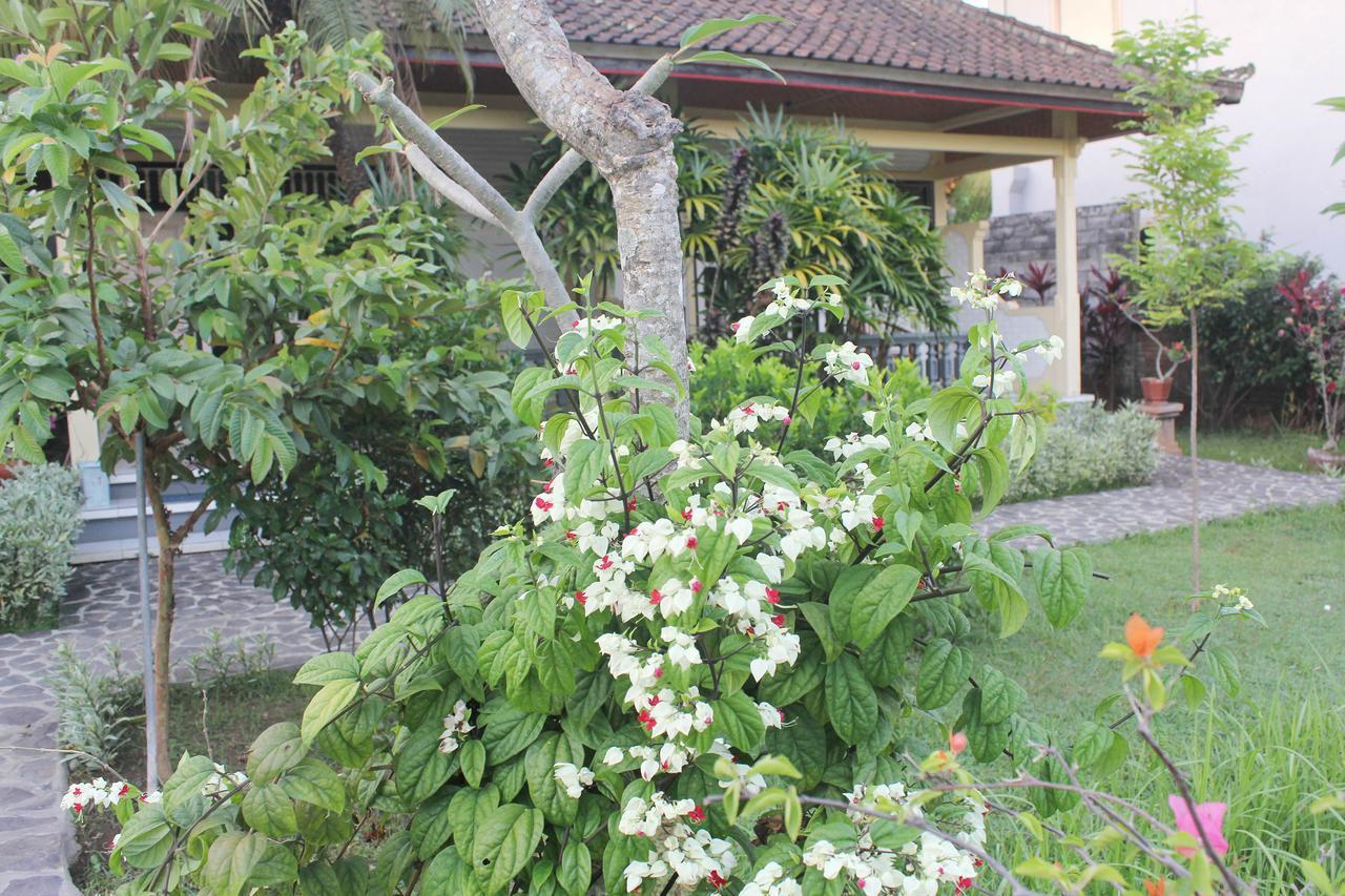 Taman Lily'S Hotel Lovina Exterior foto