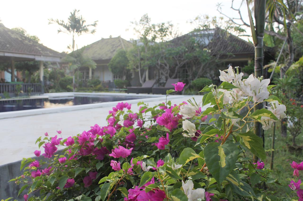Taman Lily'S Hotel Lovina Exterior foto
